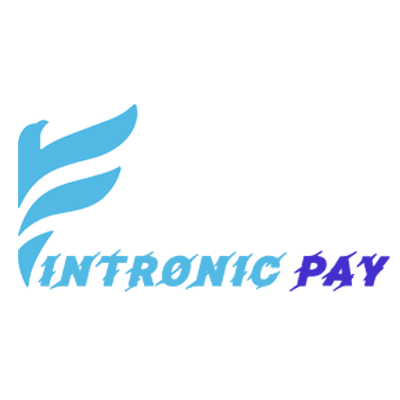 fintronic-pay
